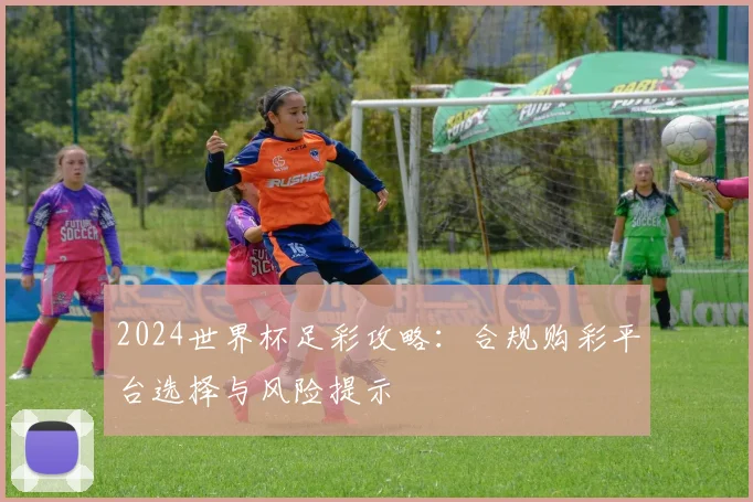 2024世界杯足彩攻略：合规购彩平台选择与风险提示