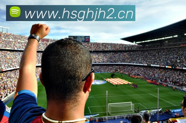 leyu乐鱼在线登录最新官网APP 封面图